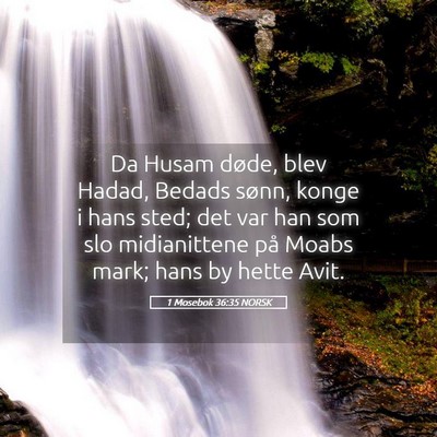 Picture 05 - 1 Mosebok 36:35 NORSK - Da Husam døde, blev Hadad, Bedads sønn, konge i - Bible Verse Picture