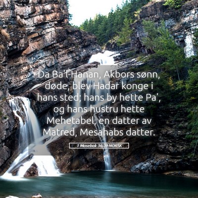 Picture 05 - 1 Mosebok 36:39 NORSK - Da Ba'l-Hanan, Akbors sønn, døde, blev Hadar - Bible Verse Picture