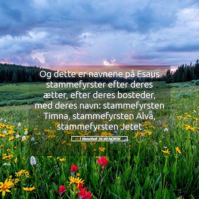 Picture 05 - 1 Mosebok 36:40 NORSK - Og dette er navnene på Esaus stammefyrster efter - Bible Verse Picture