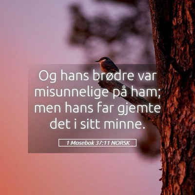Picture 05 - 1 Mosebok 37:11 NORSK - Og hans brødre var misunnelige på ham; men hans - Bible Verse Picture