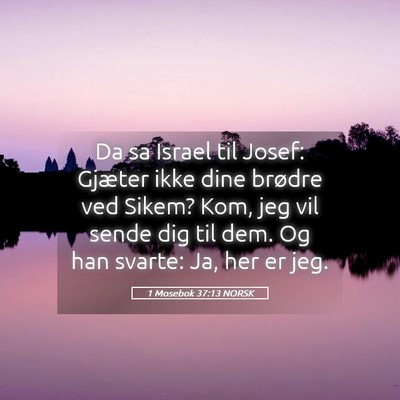Picture 05 - 1 Mosebok 37:13 NORSK - Da sa Israel til Josef: Gjæter ikke dine brødre - Bible Verse Picture