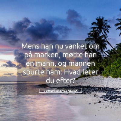 Picture 05 - 1 Mosebok 37:15 NORSK - Mens han nu vanket om på marken, møtte han en - Bible Verse Picture