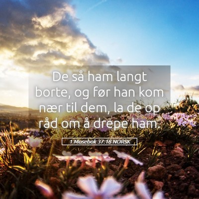 Picture 05 - 1 Mosebok 37:18 NORSK - De så ham langt borte, og før han kom nær til - Bible Verse Picture