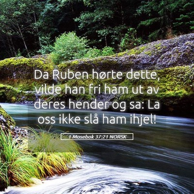 Picture 05 - 1 Mosebok 37:21 NORSK - Da Ruben hørte dette, vilde han fri ham ut av - Bible Verse Picture