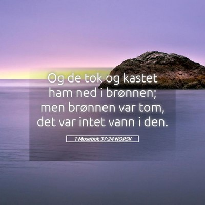 Picture 05 - 1 Mosebok 37:24 NORSK - Og de tok og kastet ham ned i brønnen; men - Bible Verse Picture