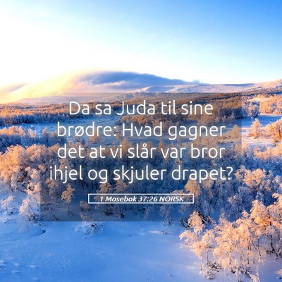Picture 05 - 1 Mosebok 37:26 NORSK - Da sa Juda til sine brødre: Hvad gagner det at - Bible Verse Picture