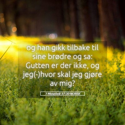 Picture 05 - 1 Mosebok 37:30 NORSK - og han gikk tilbake til sine brødre og sa: - Bible Verse Picture