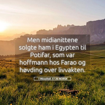 Picture 05 - 1 Mosebok 37:36 NORSK - Men midianittene solgte ham i Egypten til - Bible Verse Picture