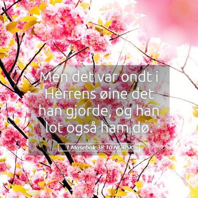 Picture 05 - 1 Mosebok 38:10 NORSK - Men det var ondt i Herrens øine det han gjorde, - Bible Verse Picture