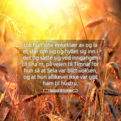 Picture 05 - 1 Mosebok 38:14 NORSK - tok hun sine enkeklær av og la et slør om sig - Bible Verse Picture