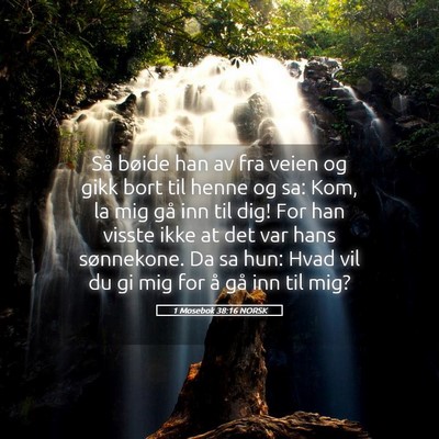 Picture 05 - 1 Mosebok 38:16 NORSK - Så bøide han av fra veien og gikk bort til - Bible Verse Picture