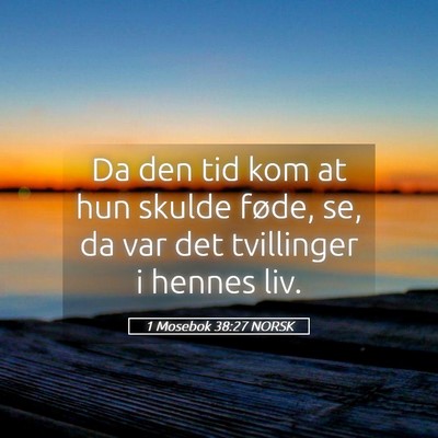 Picture 05 - 1 Mosebok 38:27 NORSK - Da den tid kom at hun skulde føde, se, da var - Bible Verse Picture