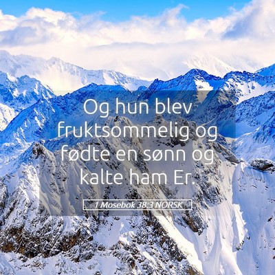 Picture 05 - 1 Mosebok 38:3 NORSK - Og hun blev fruktsommelig og fødte en sønn og - Bible Verse Picture