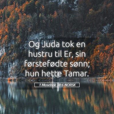 Picture 05 - 1 Mosebok 38:6 NORSK - Og Juda tok en hustru til Er, sin førstefødte - Bible Verse Picture