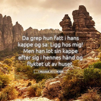 Picture 05 - 1 Mosebok 39:12 NORSK - Da grep hun fatt i hans kappe og sa: Ligg hos - Bible Verse Picture