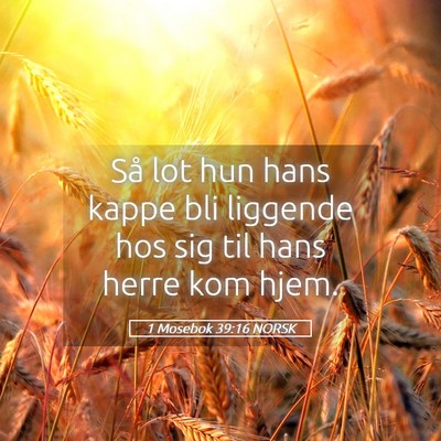 Picture 05 - 1 Mosebok 39:16 NORSK - Så lot hun hans kappe bli liggende hos sig til - Bible Verse Picture