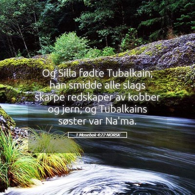 Picture 05 - 1 Mosebok 4:22 NORSK - Og Silla fødte Tubalkain; han smidde alle slags - Bible Verse Picture