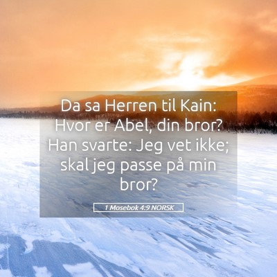 Picture 05 - 1 Mosebok 4:9 NORSK - Da sa Herren til Kain: Hvor er Abel, din bror? - Bible Verse Picture