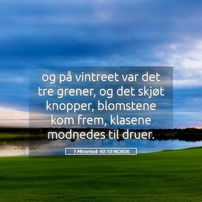 Picture 05 - 1 Mosebok 40:10 NORSK - og på vintreet var det tre grener, og det skjøt - Bible Verse Picture
