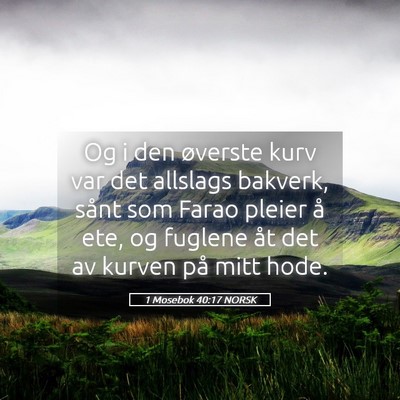 Picture 05 - 1 Mosebok 40:17 NORSK - Og i den øverste kurv var det allslags bakverk, - Bible Verse Picture