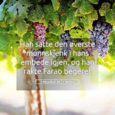 Picture 05 - 1 Mosebok 40:21 NORSK - Han satte den øverste munnskjenk i hans embede - Bible Verse Picture