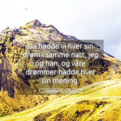 Picture 05 - 1 Mosebok 41:11 NORSK - Da hadde vi hver sin drøm i samme natt, jeg og - Bible Verse Picture