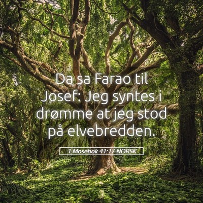 Picture 05 - 1 Mosebok 41:17 NORSK - Da sa Farao til Josef: Jeg syntes i drømme at - Bible Verse Picture