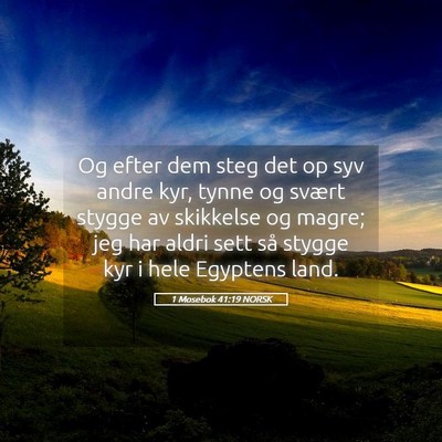 Picture 05 - 1 Mosebok 41:19 NORSK - Og efter dem steg det op syv andre kyr, tynne og - Bible Verse Picture