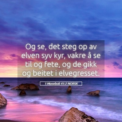 Picture 05 - 1 Mosebok 41:2 NORSK - Og se, det steg op av elven syv kyr, vakre å se - Bible Verse Picture