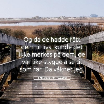 Picture 05 - 1 Mosebok 41:21 NORSK - Og da de hadde fått dem til livs, kunde det ikke - Bible Verse Picture