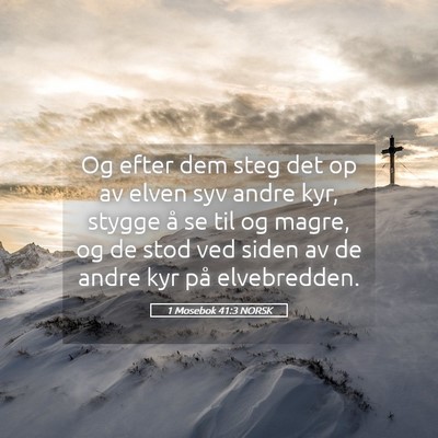 Picture 05 - 1 Mosebok 41:3 NORSK - Og efter dem steg det op av elven syv andre kyr, - Bible Verse Picture