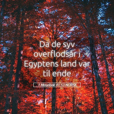 Picture 05 - 1 Mosebok 41:53 NORSK - Da de syv overflodsår i Egyptens land var til - Bible Verse Picture