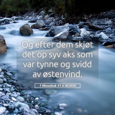 Picture 05 - 1 Mosebok 41:6 NORSK - Og efter dem skjøt det op syv aks som var tynne - Bible Verse Picture
