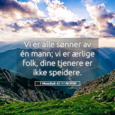 Picture 05 - 1 Mosebok 42:11 NORSK - Vi er alle sønner av én mann; vi er ærlige - Bible Verse Picture