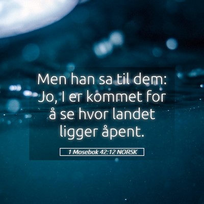 Picture 05 - 1 Mosebok 42:12 NORSK - Men han sa til dem: Jo, I er kommet for å se - Bible Verse Picture