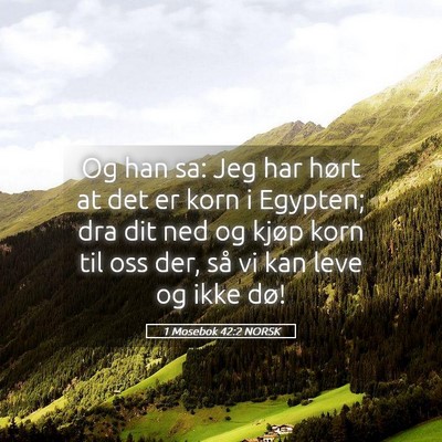 Picture 05 - 1 Mosebok 42:2 NORSK - Og han sa: Jeg har hørt at det er korn i - Bible Verse Picture
