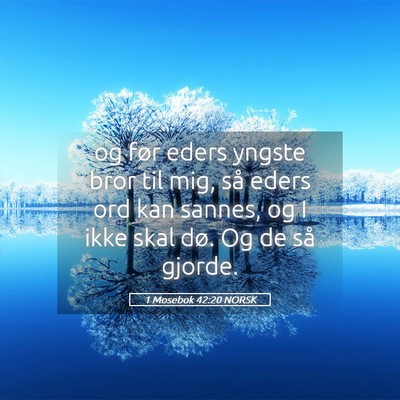 Picture 05 - 1 Mosebok 42:20 NORSK - og før eders yngste bror til mig, så eders ord - Bible Verse Picture
