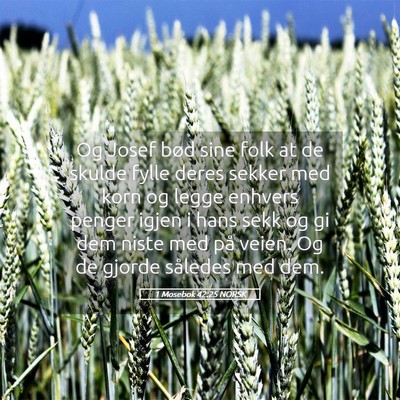 Picture 05 - 1 Mosebok 42:25 NORSK - Og Josef bød sine folk at de skulde fylle deres - Bible Verse Picture
