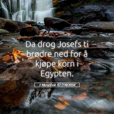 Picture 05 - 1 Mosebok 42:3 NORSK - Da drog Josefs ti brødre ned for å kjøpe korn - Bible Verse Picture