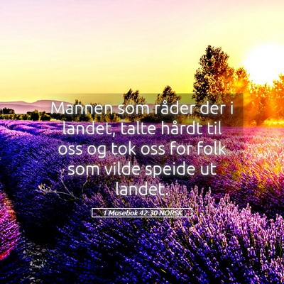 Picture 05 - 1 Mosebok 42:30 NORSK - Mannen som råder der i landet, talte hårdt til - Bible Verse Picture