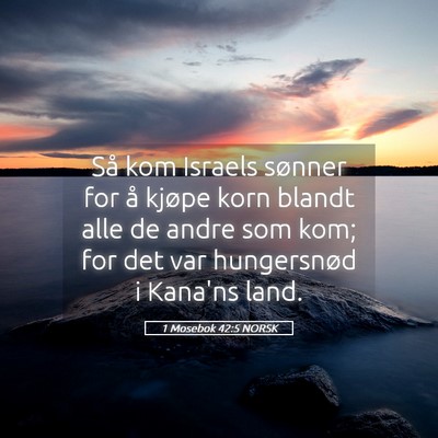 Picture 05 - 1 Mosebok 42:5 NORSK - Så kom Israels sønner for å kjøpe korn blandt - Bible Verse Picture