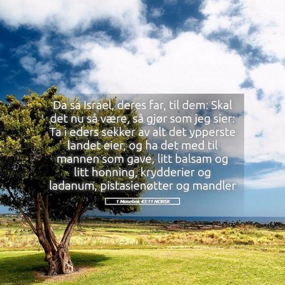 Picture 05 - 1 Mosebok 43:11 NORSK - Da sa Israel, deres far, til dem: Skal det nu så - Bible Verse Picture
