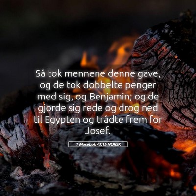 Picture 05 - 1 Mosebok 43:15 NORSK - Så tok mennene denne gave, og de tok dobbelte - Bible Verse Picture