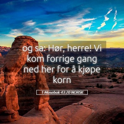 Picture 05 - 1 Mosebok 43:20 NORSK - og sa: Hør, herre! Vi kom forrige gang ned her - Bible Verse Picture
