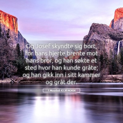 Picture 05 - 1 Mosebok 43:30 NORSK - Og Josef skyndte sig bort, for hans hjerte brente - Bible Verse Picture