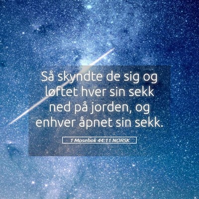 Picture 05 - 1 Mosebok 44:11 NORSK - Så skyndte de sig og løftet hver sin sekk ned - Bible Verse Picture