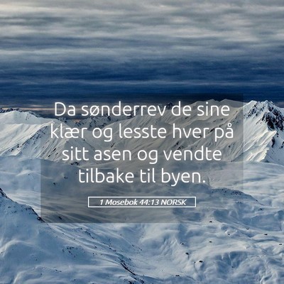 Picture 05 - 1 Mosebok 44:13 NORSK - Da sønderrev de sine klær og lesste hver på - Bible Verse Picture