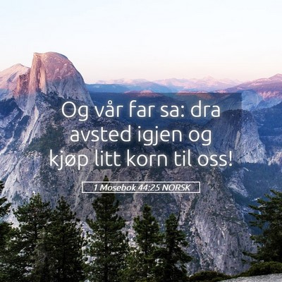 Picture 05 - 1 Mosebok 44:25 NORSK - Og vår far sa: dra avsted igjen og kjøp litt - Bible Verse Picture