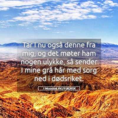 Picture 05 - 1 Mosebok 44:29 NORSK - Tar I nu også denne fra mig, og det møter ham - Bible Verse Picture