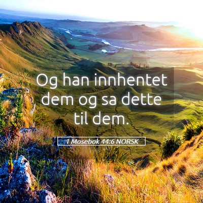 Picture 05 - 1 Mosebok 44:6 NORSK - Og han innhentet dem og sa dette til - Bible Verse Picture